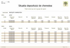 Situatia depozitului de cherestea - sumar